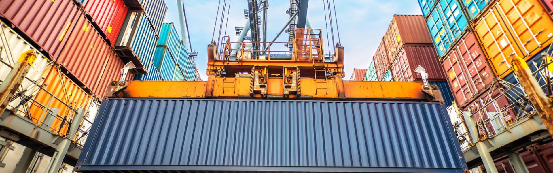 Import & Export Services